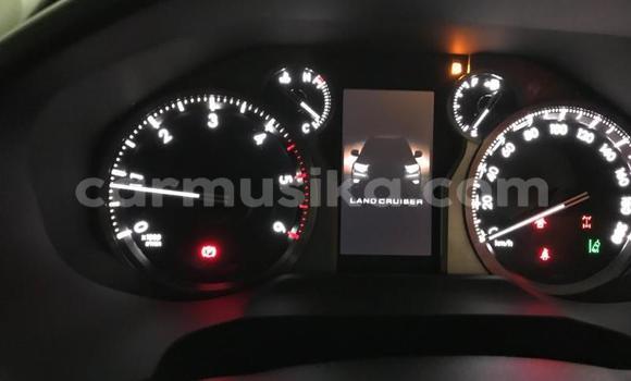 Tenga Itsva Toyota Land Cruiser Prado Sirivha Mota in Harare in Harare Tenga Itsva Toyota Land Cruiser Prado Sirivha Mota in Harare in Harare