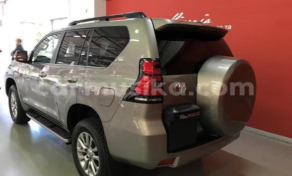 Tenga Itsva Toyota Land Cruiser Prado Sirivha Mota in Harare in Harare Tenga Itsva Toyota Land Cruiser Prado Sirivha Mota in Harare in Harare