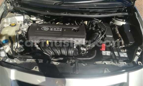 Acheter Occasion Voiture Toyota Auris Gris à Chiredzi, Masvingo Acheter Occasion Voiture Toyota Auris Gris à Chiredzi, Masvingo