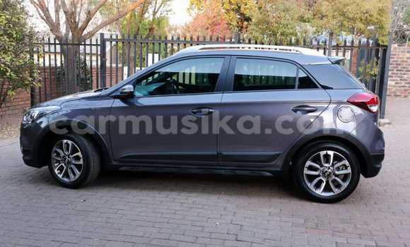 Buy Used Honda Jazz Silver Car in Beitbridge in Matabeleland South