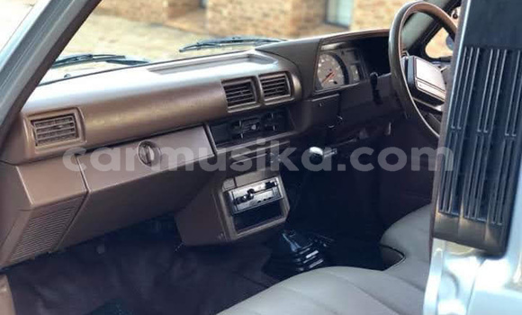 Tenga Tsaru Toyota Hilux Girinhi Mota in Beitbridge in Matabeleland South Tenga Tsaru Toyota Hilux Girinhi Mota in Beitbridge in Matabeleland South
