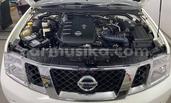 Tenga Tsaru Nissan Navara Zvimwe Mota in Beitbridge in Matabeleland South Tenga Tsaru Nissan Navara Zvimwe Mota in Beitbridge in Matabeleland South