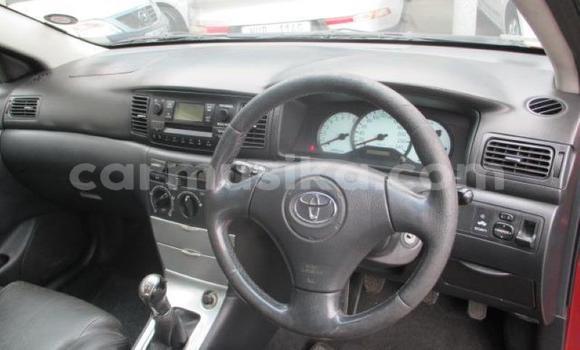 Tenga Tsaru Toyota Runx Tsvuku Mota in Beitbridge in Matabeleland South Tenga Tsaru Toyota Runx Tsvuku Mota in Beitbridge in Matabeleland South