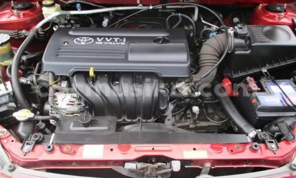 Tenga Tsaru Toyota Runx Tsvuku Mota in Beitbridge in Matabeleland South Tenga Tsaru Toyota Runx Tsvuku Mota in Beitbridge in Matabeleland South