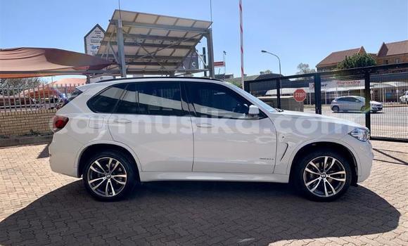 Tenga Tsaru BMW X5 Chena Mota in Beitbridge in Matabeleland South Tenga Tsaru BMW X5 Chena Mota in Beitbridge in Matabeleland South