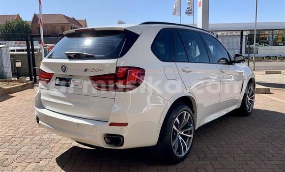 Tenga Tsaru BMW X5 Chena Mota in Beitbridge in Matabeleland South Tenga Tsaru BMW X5 Chena Mota in Beitbridge in Matabeleland South