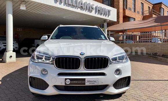 Tenga Tsaru BMW X5 Chena Mota in Beitbridge in Matabeleland South Tenga Tsaru BMW X5 Chena Mota in Beitbridge in Matabeleland South
