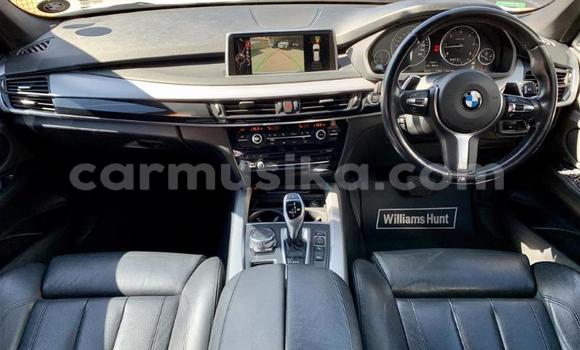 Tenga Tsaru BMW X5 Chena Mota in Beitbridge in Matabeleland South Tenga Tsaru BMW X5 Chena Mota in Beitbridge in Matabeleland South