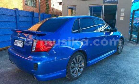 Tenga Tsaru Subaru WRX Bhuruu Mota in Harare in Harare Tenga Tsaru Subaru WRX Bhuruu Mota in Harare in Harare