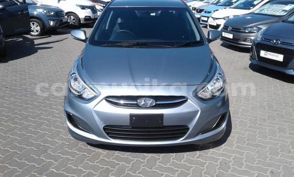 Tenga Tsaru Hyundai Accent Sirivha Mota in Beitbridge in Matabeleland South Tenga Tsaru Hyundai Accent Sirivha Mota in Beitbridge in Matabeleland South