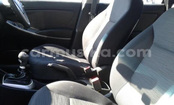 Tenga Tsaru Hyundai Accent Sirivha Mota in Beitbridge in Matabeleland South Tenga Tsaru Hyundai Accent Sirivha Mota in Beitbridge in Matabeleland South