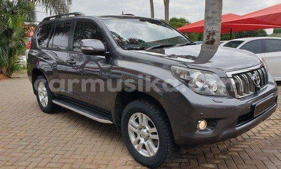 Acheter Occasion Voiture Toyota Prado Autre à Beitbridge, Matabeleland South