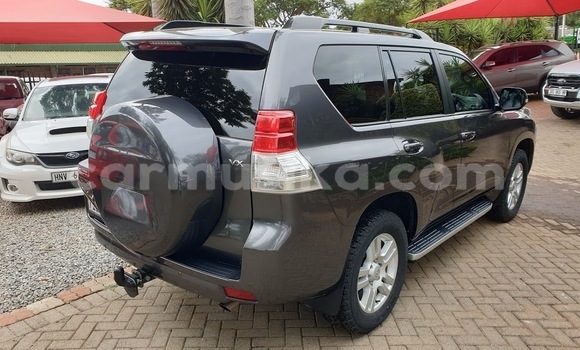 Tenga Tsaru Toyota Prado Zvimwe Mota in Beitbridge in Matabeleland South Tenga Tsaru Toyota Prado Zvimwe Mota in Beitbridge in Matabeleland South