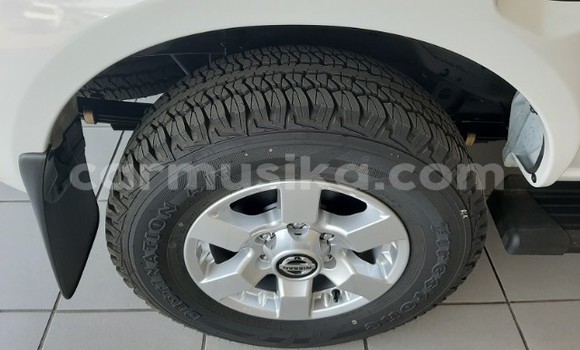 Tenga Tsaru Nissan NP 300 Chena Mota in Beitbridge in Matabeleland South Tenga Tsaru Nissan NP 300 Chena Mota in Beitbridge in Matabeleland South