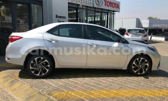 Tenga Tsaru Toyota Corolla Sirivha Mota in Beitbridge in Matabeleland South
