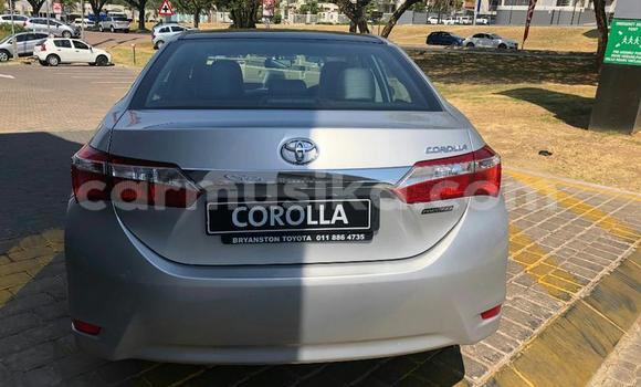 Tenga Tsaru Toyota Corolla Sirivha Mota in Beitbridge in Matabeleland South Tenga Tsaru Toyota Corolla Sirivha Mota in Beitbridge in Matabeleland South