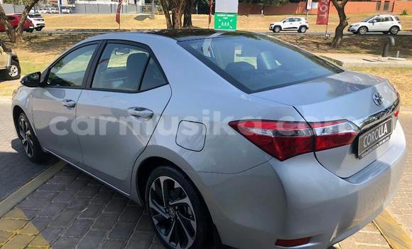 Tenga Tsaru Toyota Corolla Sirivha Mota in Beitbridge in Matabeleland South Tenga Tsaru Toyota Corolla Sirivha Mota in Beitbridge in Matabeleland South