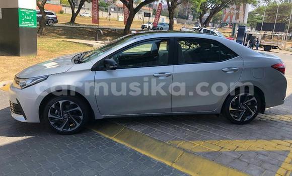 Tenga Tsaru Toyota Corolla Sirivha Mota in Beitbridge in Matabeleland South Tenga Tsaru Toyota Corolla Sirivha Mota in Beitbridge in Matabeleland South