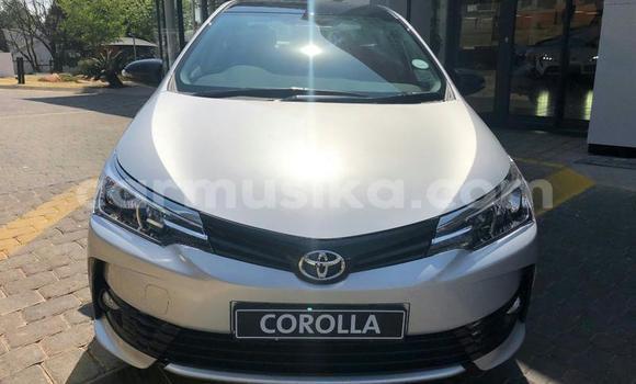 Tenga Tsaru Toyota Corolla Sirivha Mota in Beitbridge in Matabeleland South Tenga Tsaru Toyota Corolla Sirivha Mota in Beitbridge in Matabeleland South