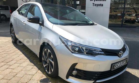 Tenga Tsaru Toyota Corolla Sirivha Mota in Beitbridge in Matabeleland South Tenga Tsaru Toyota Corolla Sirivha Mota in Beitbridge in Matabeleland South