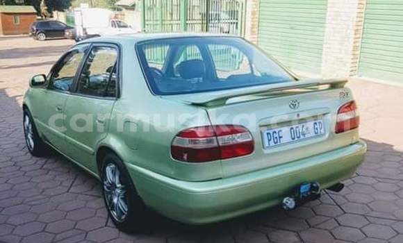 Buy Used Toyota Corolla Other Car in Beitbridge in Matabeleland South Buy Used Toyota Corolla Other Car in Beitbridge in Matabeleland South