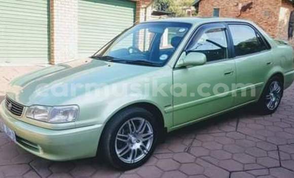 Buy Used Toyota Corolla Other Car in Beitbridge in Matabeleland South Buy Used Toyota Corolla Other Car in Beitbridge in Matabeleland South