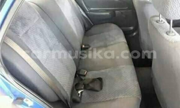 Tenga Tsaru Toyota Corolla Bhuruu Mota in Beitbridge in Matabeleland South Tenga Tsaru Toyota Corolla Bhuruu Mota in Beitbridge in Matabeleland South