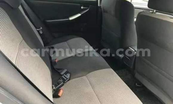 Buy Used Toyota Corolla Blue Car in Beitbridge in Matabeleland South Buy Used Toyota Corolla Blue Car in Beitbridge in Matabeleland South