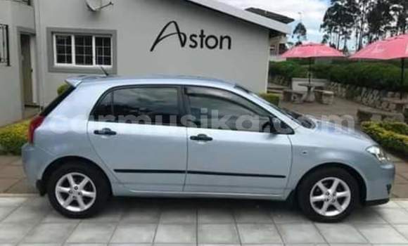 Buy Used Toyota Corolla Blue Car in Beitbridge in Matabeleland South Buy Used Toyota Corolla Blue Car in Beitbridge in Matabeleland South