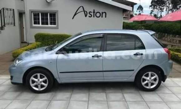 Buy Used Toyota Corolla Blue Car in Beitbridge in Matabeleland South Buy Used Toyota Corolla Blue Car in Beitbridge in Matabeleland South