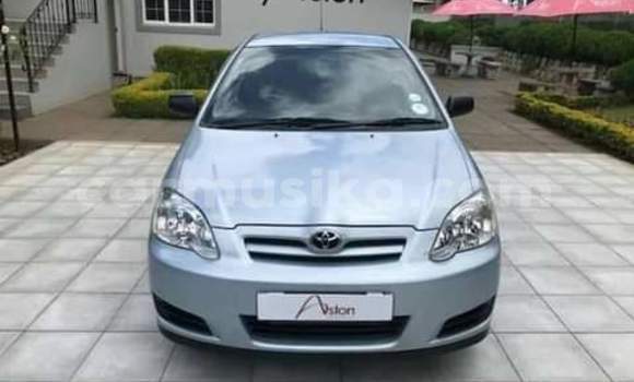 Buy Used Toyota Corolla Blue Car in Beitbridge in Matabeleland South Buy Used Toyota Corolla Blue Car in Beitbridge in Matabeleland South