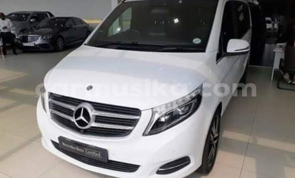 Tenga Tsaru Mercedes‒Benz AMG GLE Chena Mota in Beitbridge in Matabeleland South