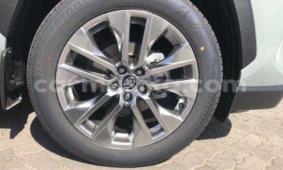 Buy Used Toyota RAV4 White Car in Alexandra Park in Harare Buy Used Toyota RAV4 White Car in Alexandra Park in Harare