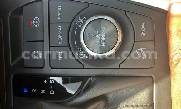 Buy Used Toyota RAV4 White Car in Alexandra Park in Harare Buy Used Toyota RAV4 White Car in Alexandra Park in Harare