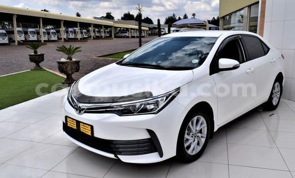 Tenga Tsaru Toyota Corolla Chena Mota in Beitbridge in Matabeleland South