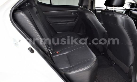 Buy Used Toyota Corolla White Car in Beitbridge in Matabeleland South Buy Used Toyota Corolla White Car in Beitbridge in Matabeleland South