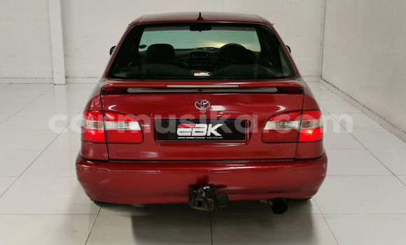 Acheter Occasion Voiture Toyota Corolla Rouge à Beitbridge, Matabeleland South Acheter Occasion Voiture Toyota Corolla Rouge à Beitbridge, Matabeleland South