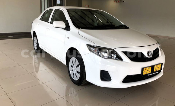 Tenga Tsaru Toyota Corolla Chena Mota in Beitbridge in Matabeleland South