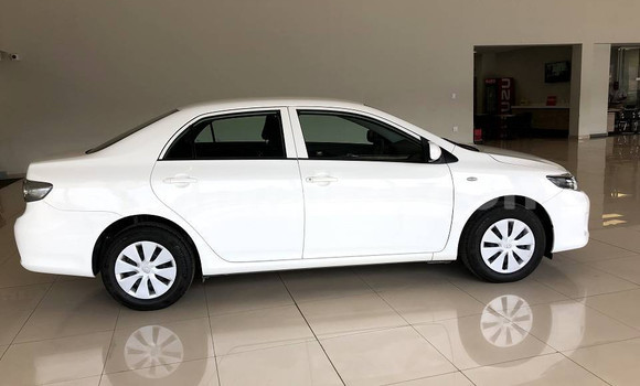 Buy Used Toyota Corolla White Car in Beitbridge in Matabeleland South Buy Used Toyota Corolla White Car in Beitbridge in Matabeleland South