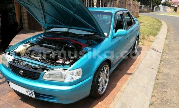 Acheter Occasion Voiture Toyota Corolla Bleu à Beitbridge, Matabeleland South Acheter Occasion Voiture Toyota Corolla Bleu à Beitbridge, Matabeleland South