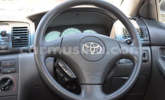 Buy Used Toyota Fortuner White Car in Beitbridge in Matabeleland South Buy Used Toyota Fortuner White Car in Beitbridge in Matabeleland South