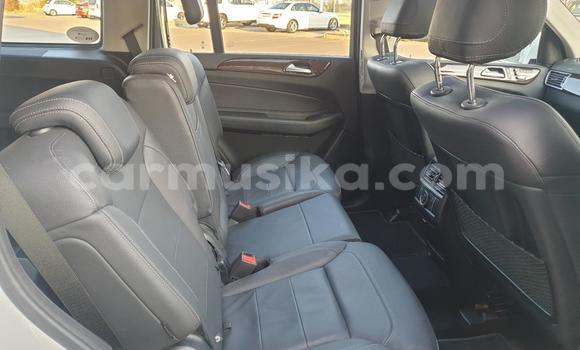 Tenga Tsaru Mercedes‒Benz GL–Class Chena Mota in Beitbridge in Matabeleland South Tenga Tsaru Mercedes‒Benz GL–Class Chena Mota in Beitbridge in Matabeleland South