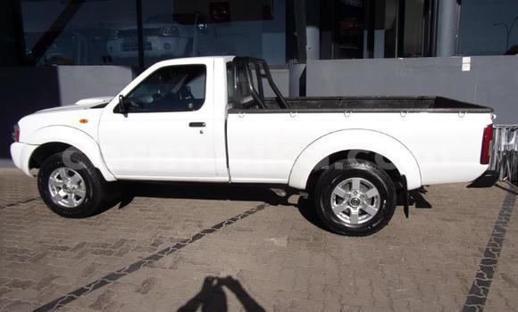 Nunua Ilio tumika Nissan NP 300 Nyeupe Gari ndani ya Beitbridge nchini Matabeleland Kusini