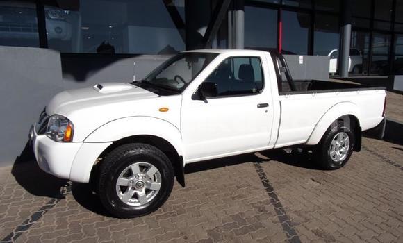 Acheter Occasion Voiture Nissan NP 300 Blanc à Beitbridge, Matabeleland South Acheter Occasion Voiture Nissan NP 300 Blanc à Beitbridge, Matabeleland South