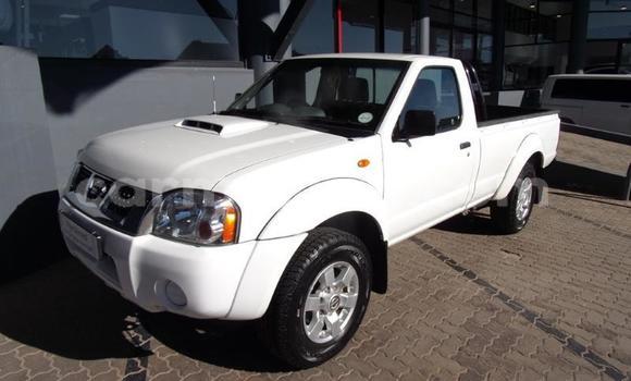 Acheter Occasion Voiture Nissan NP 300 Blanc à Beitbridge, Matabeleland South Acheter Occasion Voiture Nissan NP 300 Blanc à Beitbridge, Matabeleland South