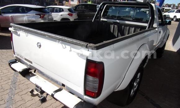 Acheter Occasion Voiture Nissan NP 300 Blanc à Beitbridge, Matabeleland South Acheter Occasion Voiture Nissan NP 300 Blanc à Beitbridge, Matabeleland South
