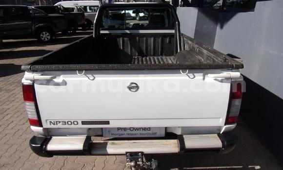 Acheter Occasion Voiture Nissan NP 300 Blanc à Beitbridge, Matabeleland South Acheter Occasion Voiture Nissan NP 300 Blanc à Beitbridge, Matabeleland South