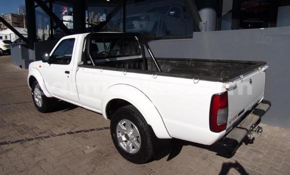 Acheter Occasion Voiture Nissan NP 300 Blanc à Beitbridge, Matabeleland South Acheter Occasion Voiture Nissan NP 300 Blanc à Beitbridge, Matabeleland South