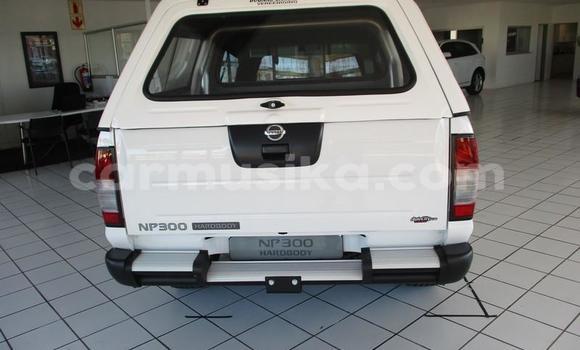 Tenga Tsaru Nissan NP 300 Chena Mota in Beitbridge in Matabeleland South Tenga Tsaru Nissan NP 300 Chena Mota in Beitbridge in Matabeleland South