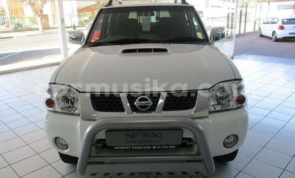 Tenga Tsaru Nissan NP 300 Chena Mota in Beitbridge in Matabeleland South Tenga Tsaru Nissan NP 300 Chena Mota in Beitbridge in Matabeleland South